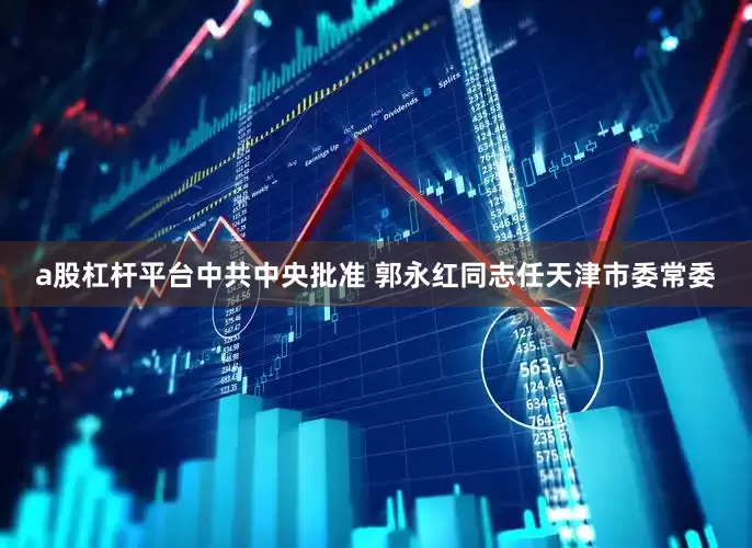 a股杠杆平台中共中央批准 郭永红同志任天津市委常委