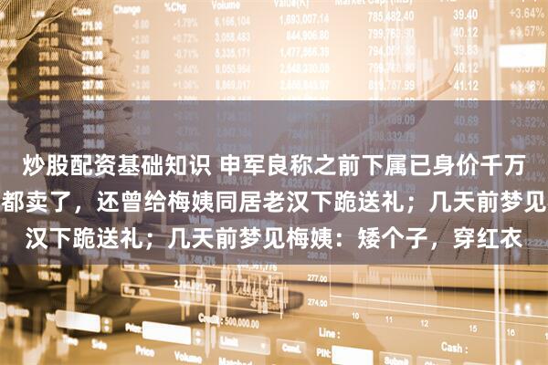 炒股配资基础知识 申军良称之前下属已身价千万，自己为找孩子车和房都卖了，还曾给梅姨同居老汉下跪送礼；几天前梦见梅姨：矮个子，穿红衣